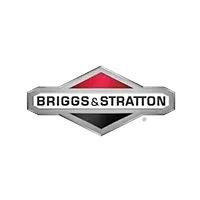 Briggs & Stratton