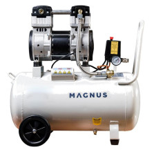 Компрессор воздушный безмасляный Magnus P-320/50OF