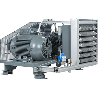 Компрессор поршневой DALGAKIRAN DBK-30 (O)