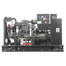 Газовый генератор GENERAC SG32/PG29